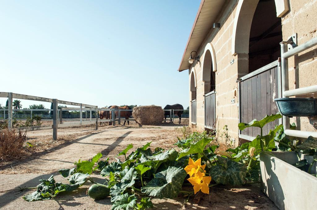 Amaregold Tenuta La Baronessa Resort トゥーリエ エクステリア 写真